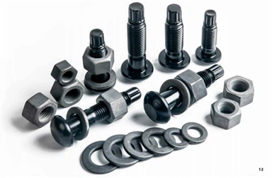 جولة رئيس TC بولت